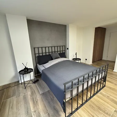Travel-, Work-, & Fitness-einliegerwohnung Lejlighed Bonn